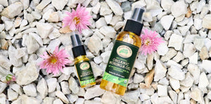 Uses of Organic Herbs Australia Organic Moringa Oil